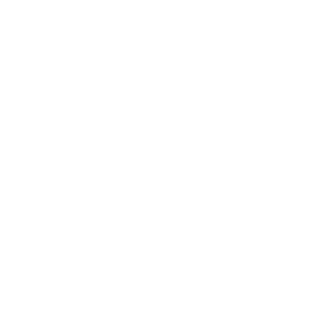 airhead_bot's emblem