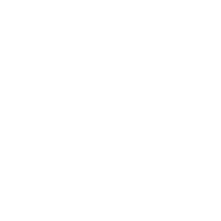 XCpt_SnowX's emblem