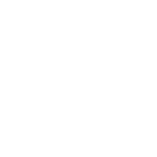 RigaT228's emblem