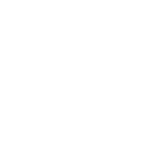danleeofficial's emblem