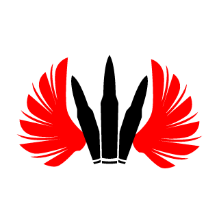 B1ngB1ng007's emblem