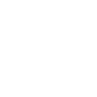 msv_1904's emblem