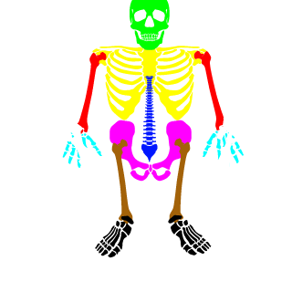 1_VACOCHEK_'s emblem