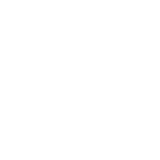 SLFengYe's emblem
