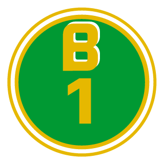 PenguinStrike's emblem