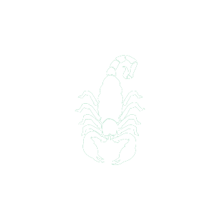 NightsShooting's emblem