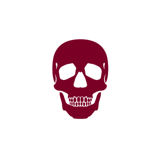 Sudya29992's emblem
