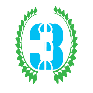 Skully961's emblem