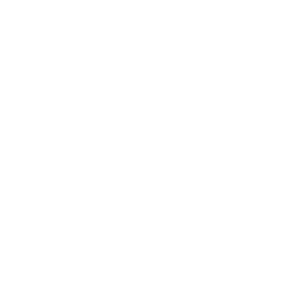 BJORNWEBSPYDER's emblem