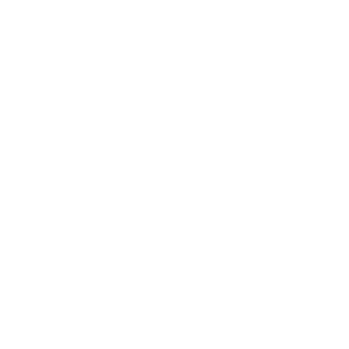 StykerStupid's emblem