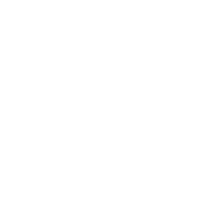 13os's emblem