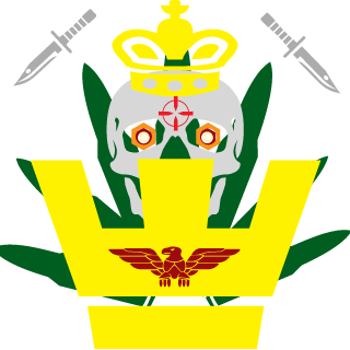 csgchronkong's emblem