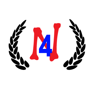 N4E's emblem