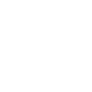 F3LONY's emblem