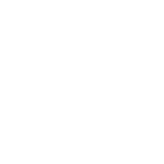 02X_ZeroTwo_X02's emblem