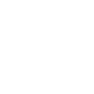 Notsila_BR's emblem