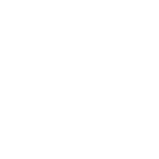 Comp04's emblem