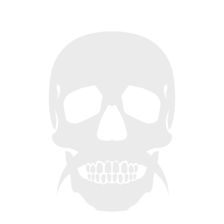 ZH000000's emblem