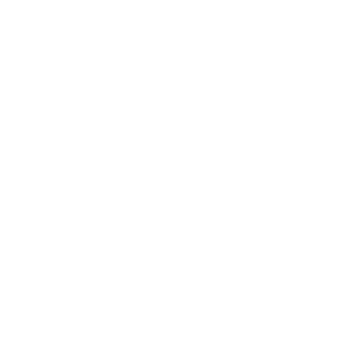 NVStalker's emblem