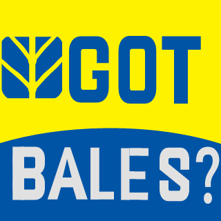 NewHollandBaler's emblem