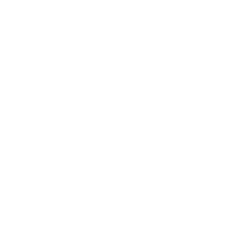 FunkSpot's emblem