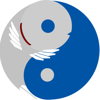 AarronS's emblem