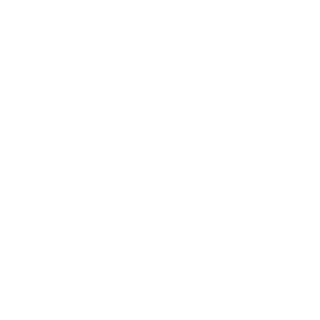 Joker_fly2's emblem