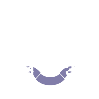FalkonRD's emblem