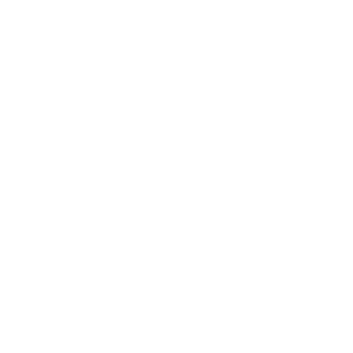 mirdza666's emblem