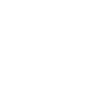 Zeero_Foxx's emblem