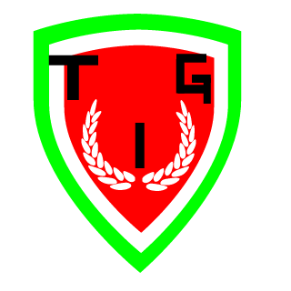 THE ITALIAN GAMER's emblem