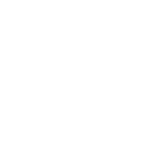 velox1337's emblem