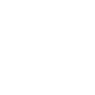 S19_NaS's emblem