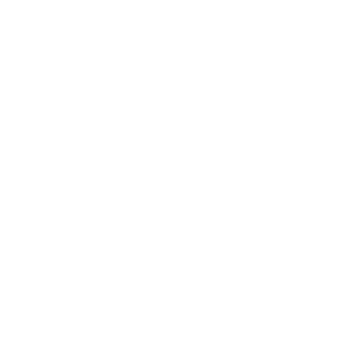 Patryk099009's emblem