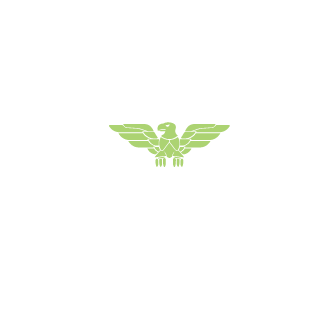 738a7c6abfa7fbf6's emblem