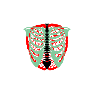 Franky1113's emblem