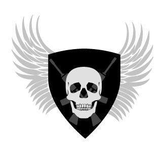 HellFuryy's emblem