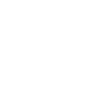 V3CKTOR's emblem