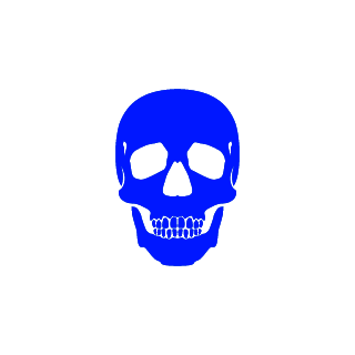 BrooklynGBG413's emblem