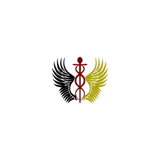 AllesdeineSchuld's emblem