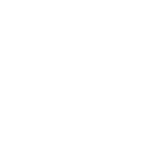 DerSchlonger's emblem
