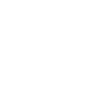 FIZIK_223345's emblem