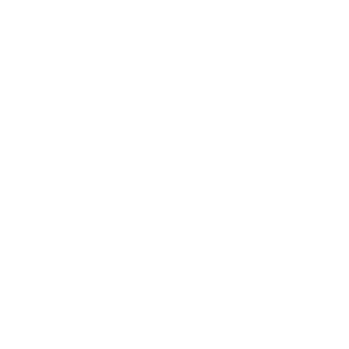 NastyPunk's emblem