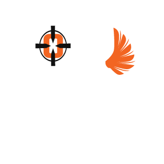 havocsquad's emblem