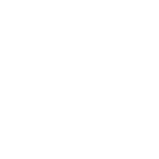 NightFuri100's emblem