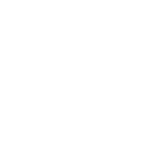 megapeton's emblem