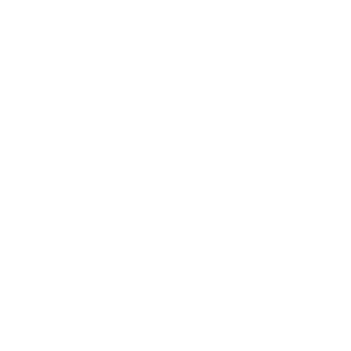 Leewise1's emblem