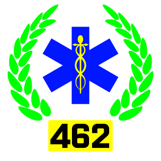 462nd Airborne's emblem
