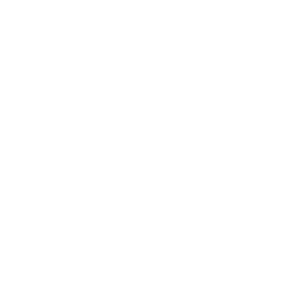 DeliDNA's emblem