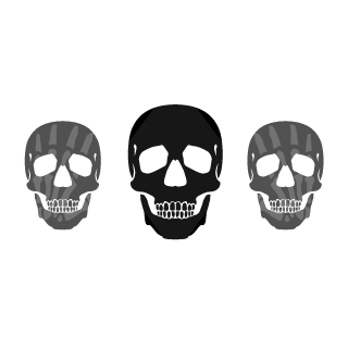 snowair's emblem
